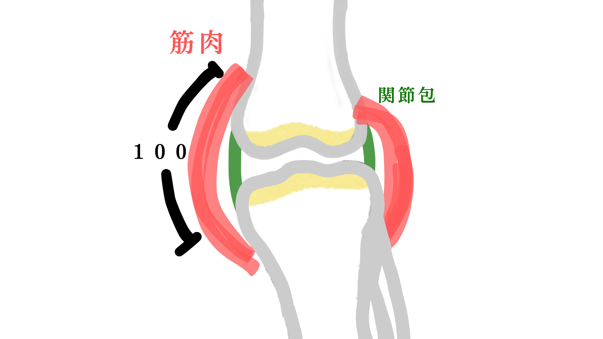 通常の関節包内運動