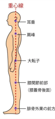 姿勢